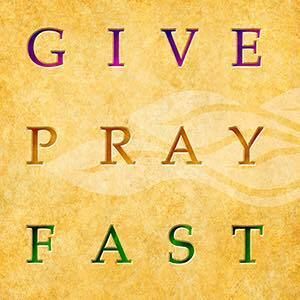 Meet your Posher, Lynne